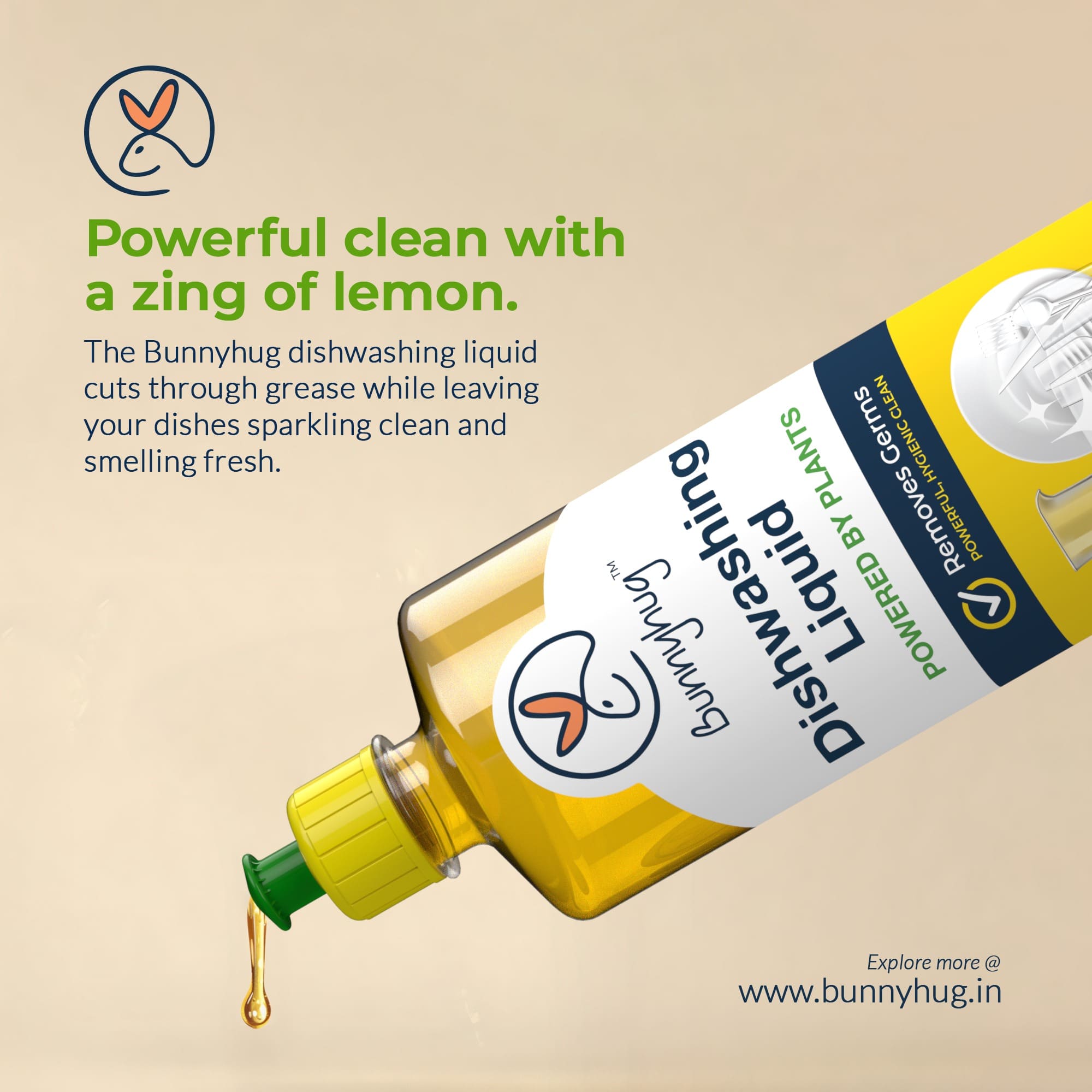 Packaging Design | Bunnyhug Pvt. Ltd. | Chennai, India