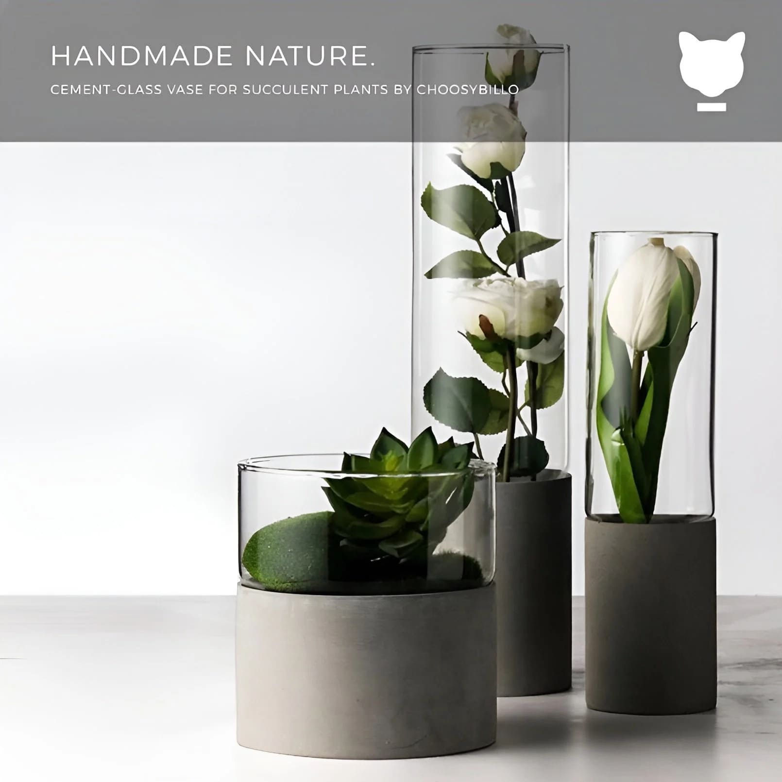 Social Media Post Design | Choosybillo | Mumbai, India