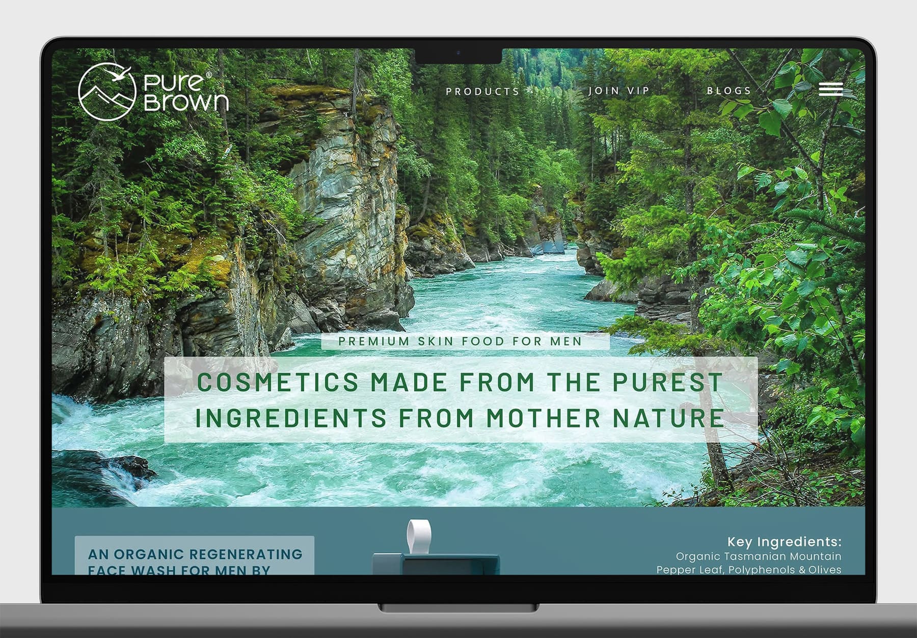 Website UX & UI Design | Pure Brown | Mumbai, India