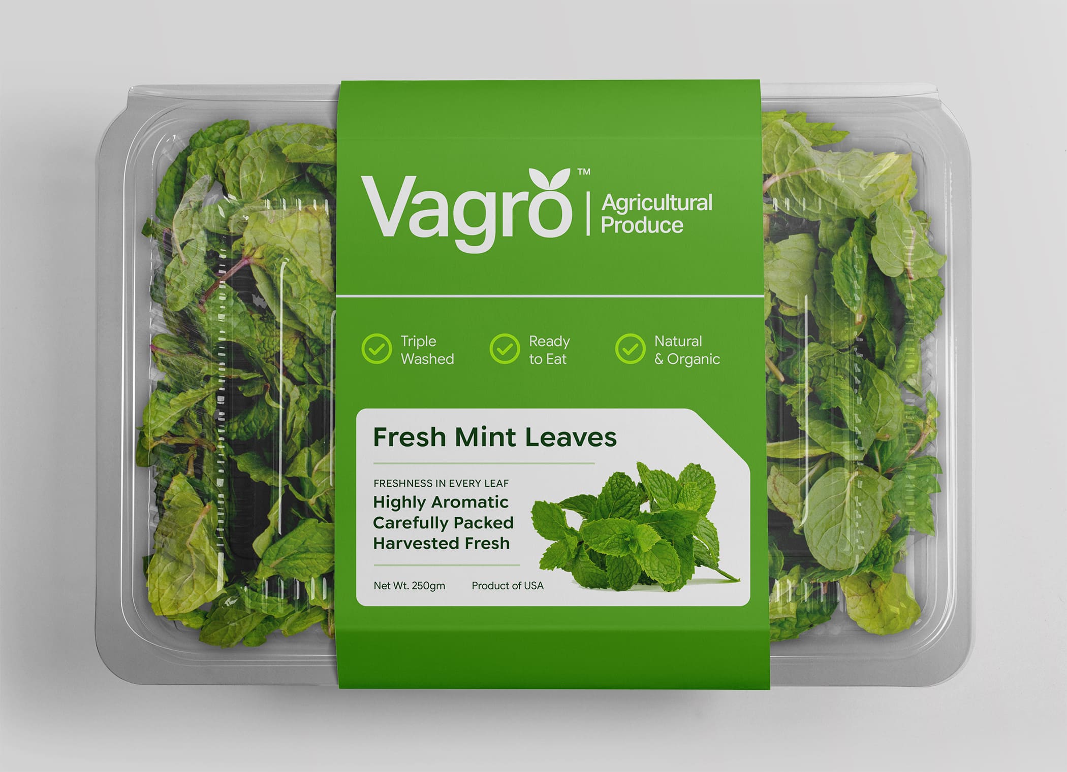 Packaging Design | Vagro Agricultural Produce | Georgia, USA